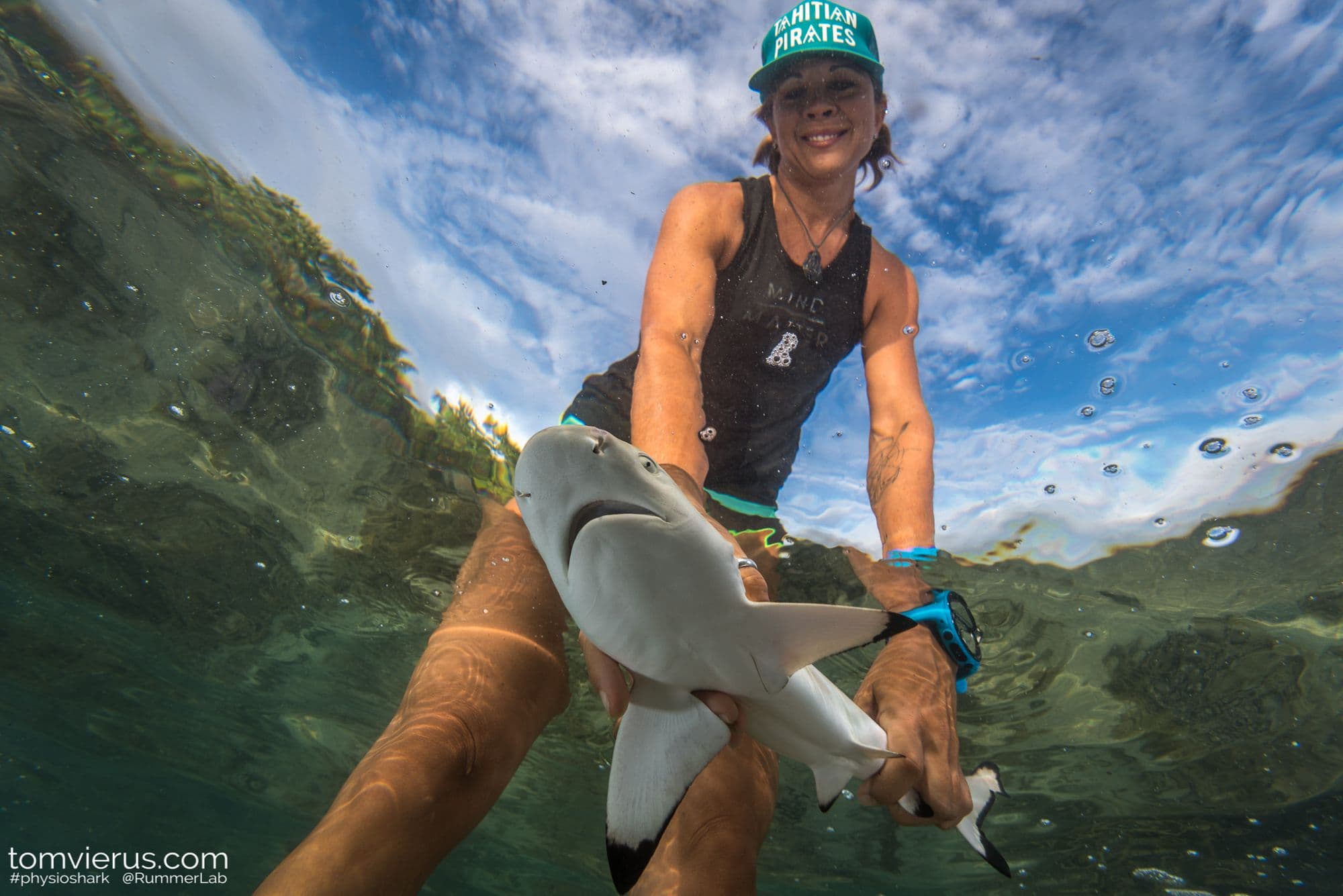 Dr. Rummer releasing blacktip shark