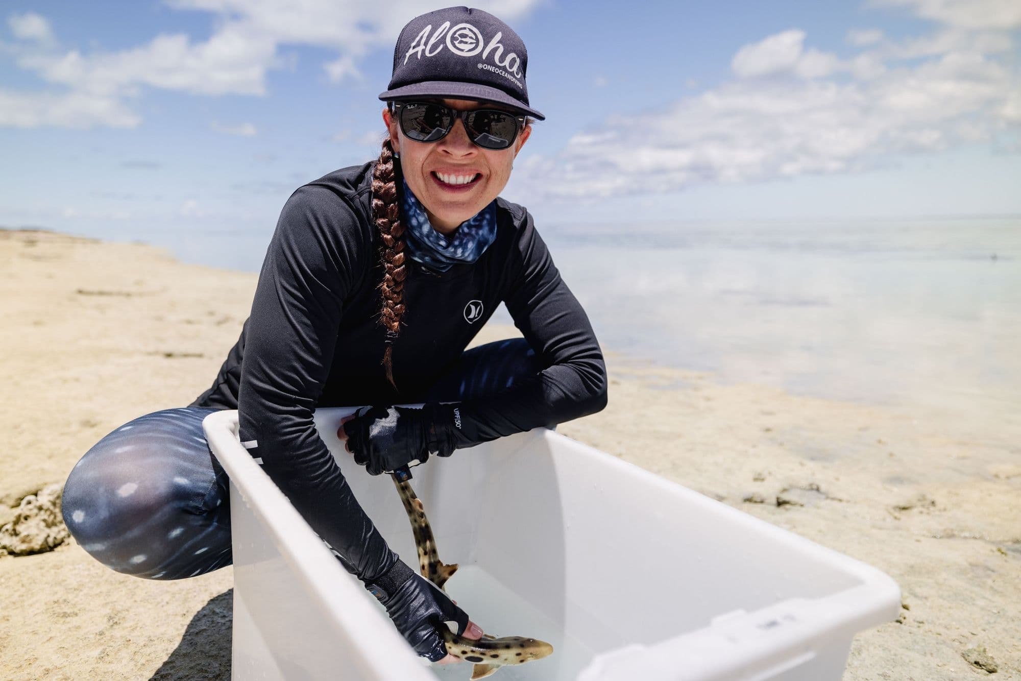 Capturing epaulette shark