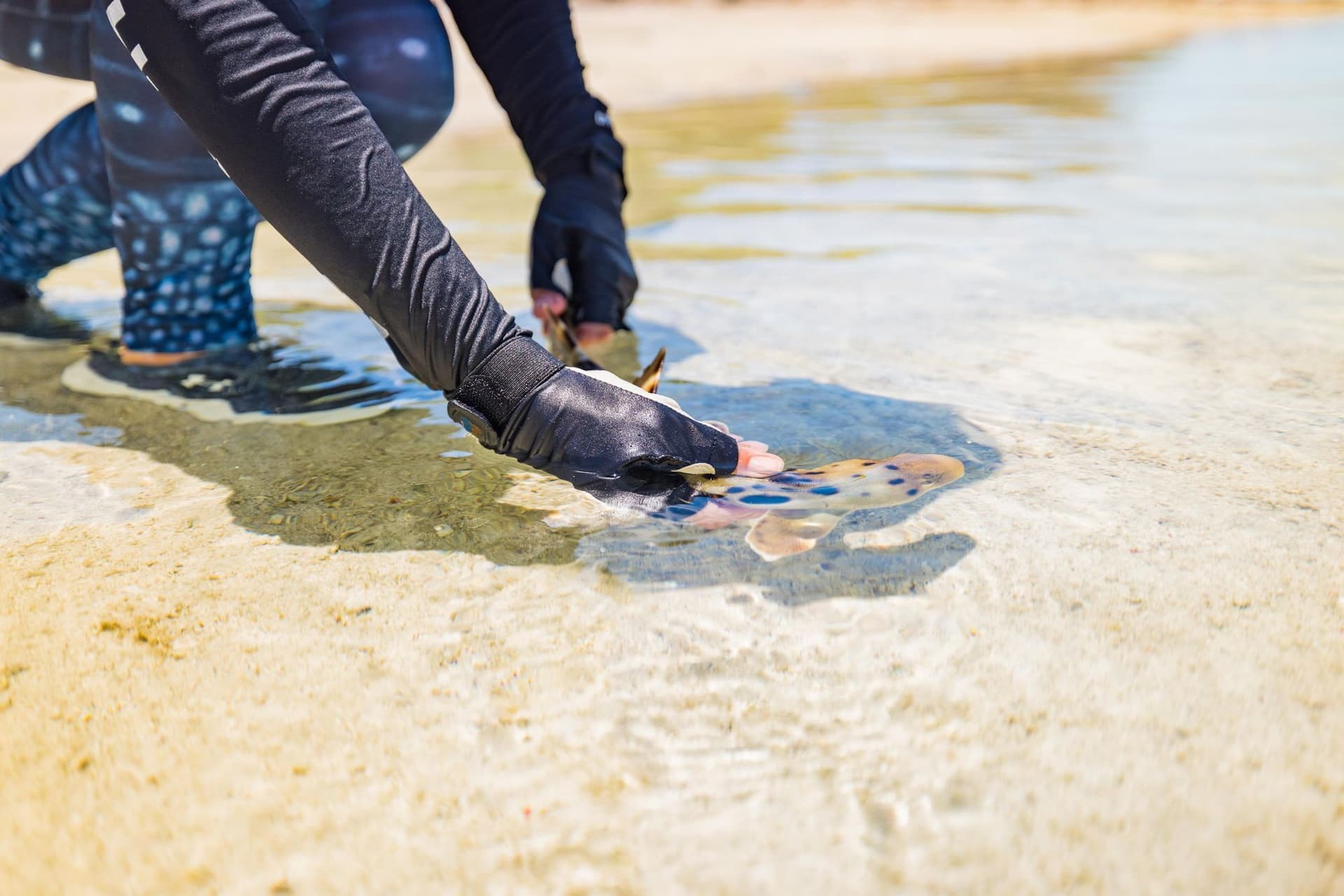 Post-experiment release