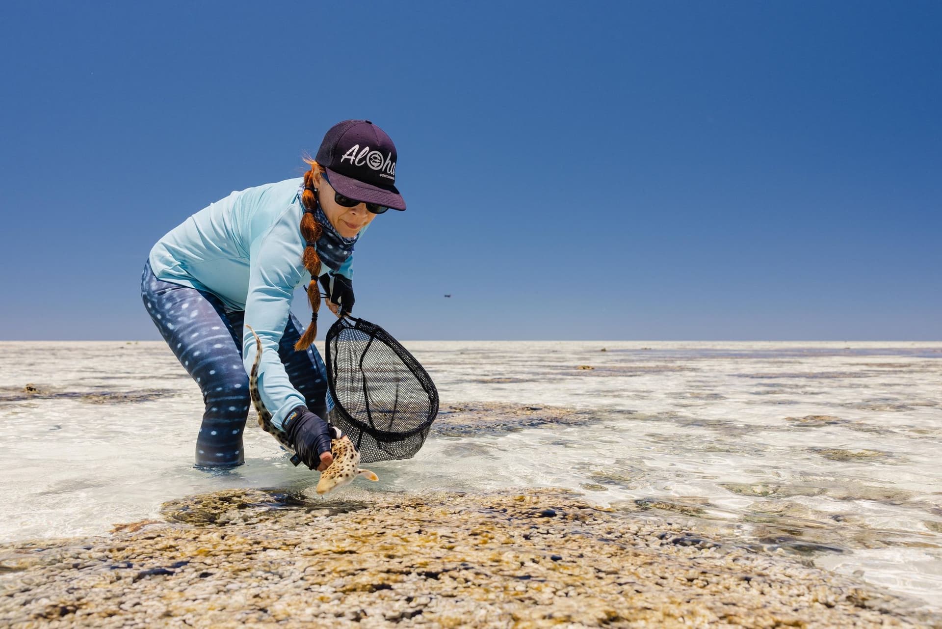 Post-research release