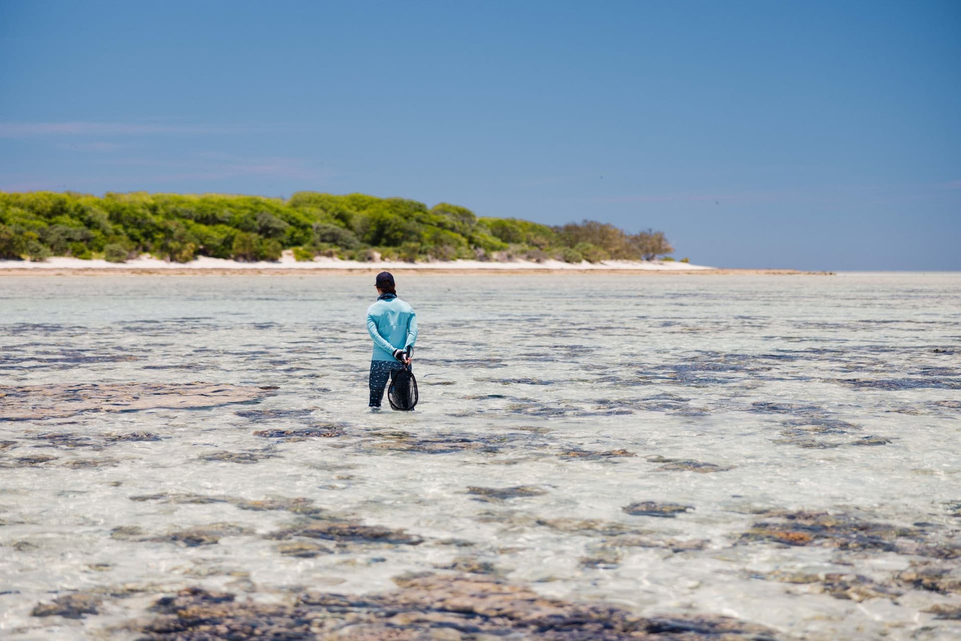 Dr. Rummer conducting reef research