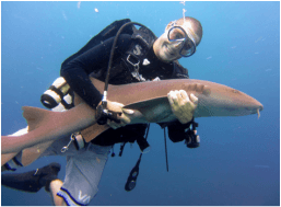 Andrew Corley, MSc Alumni