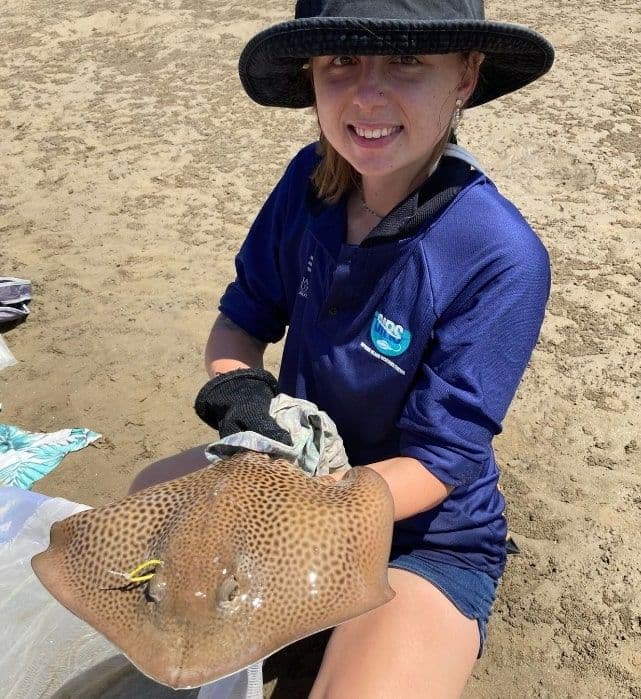 Chelsea B. Millward, Undergraduate Researcher