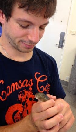 Dennis Heinrich, Alumni