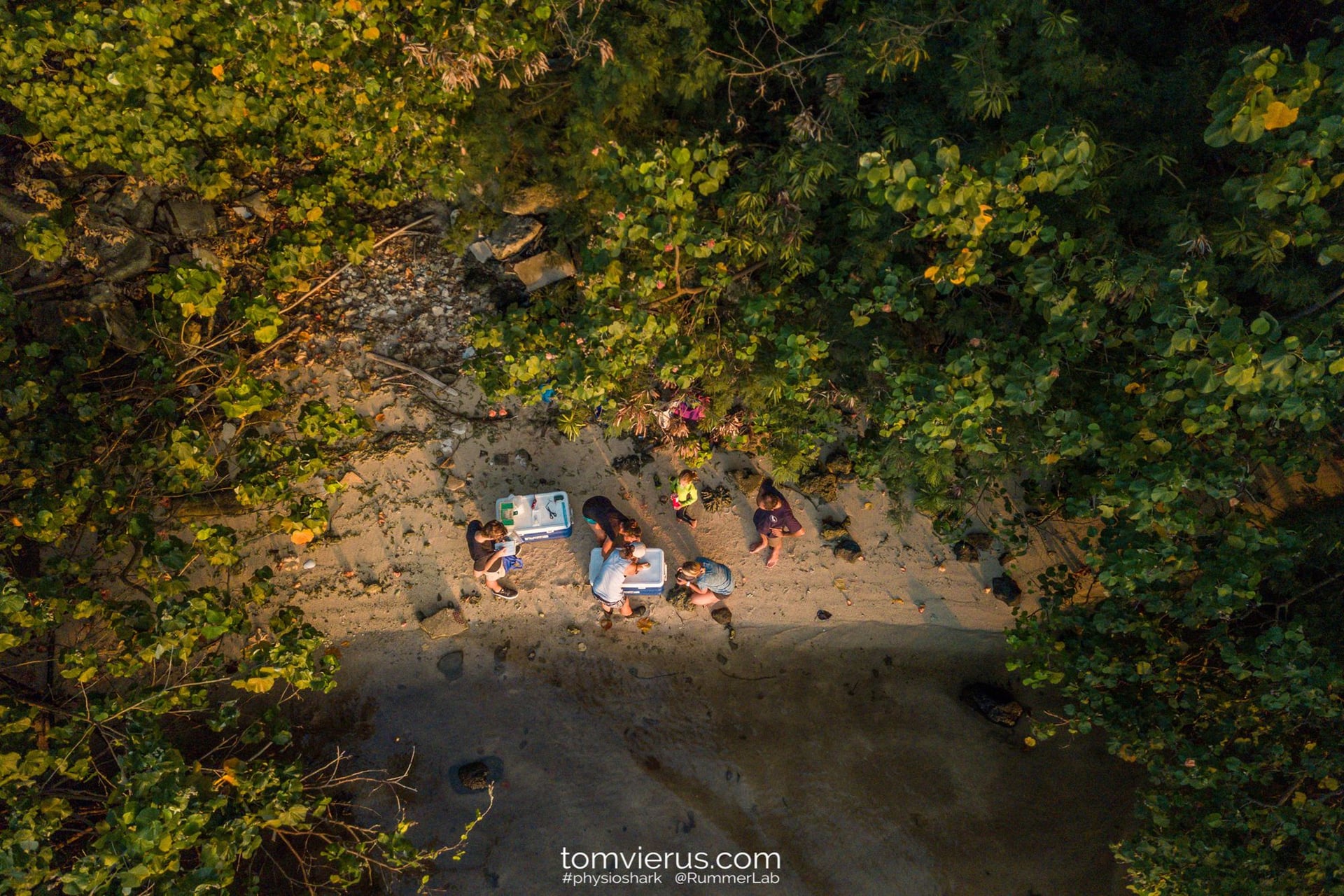 Drone view of field setup